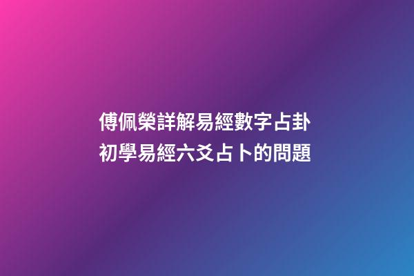 傅佩榮詳解易經數字占卦 初學易經六爻占卜的問題-第1張-觀點-玄機派